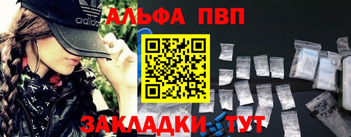 Альфа ПВП СК КРИС Назрань