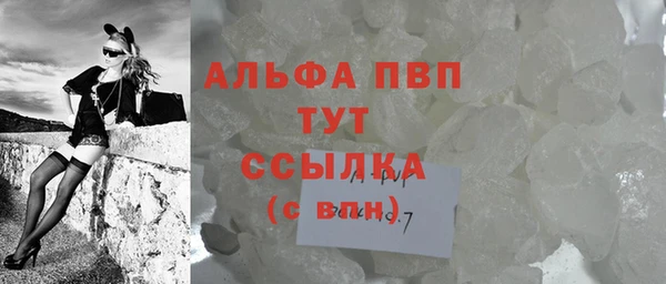 PSILOCYBIN Лагань