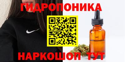 гашик Канаш
