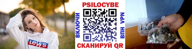 Галлюциногенные грибы MAGIC MUSHROOMS  Назрань 